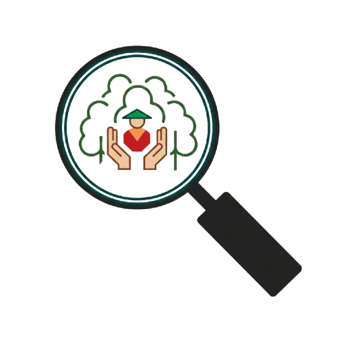 Search Icon