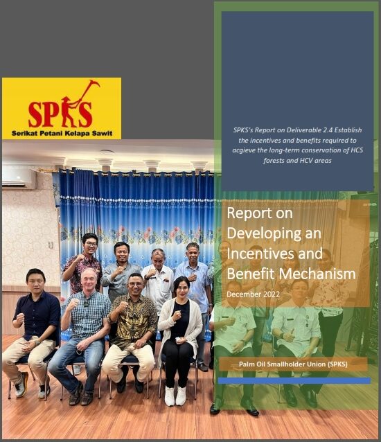 Report on Developing an Incentives and Benefit Mechanism