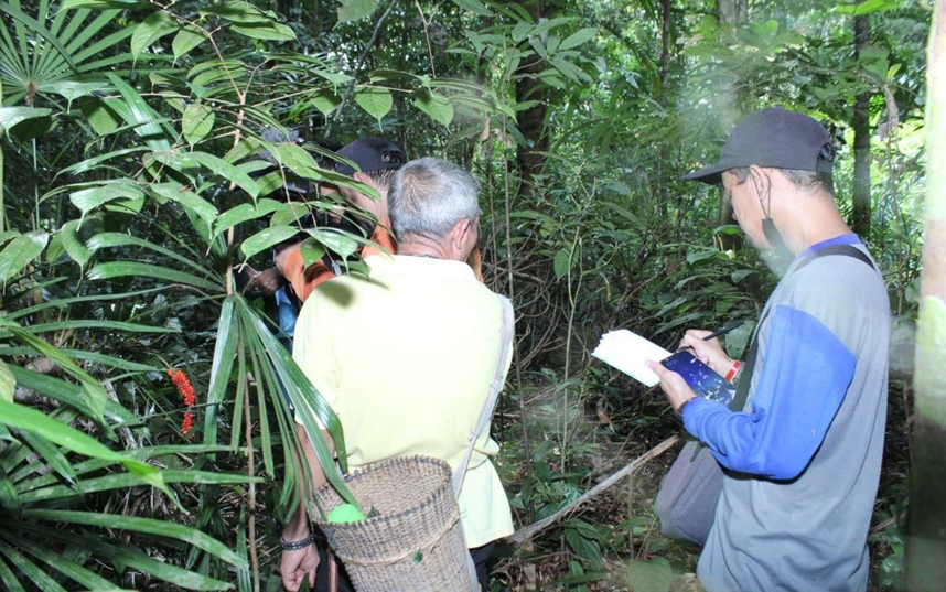 New Zealand Government funds customary forest protection in West Kalimantan