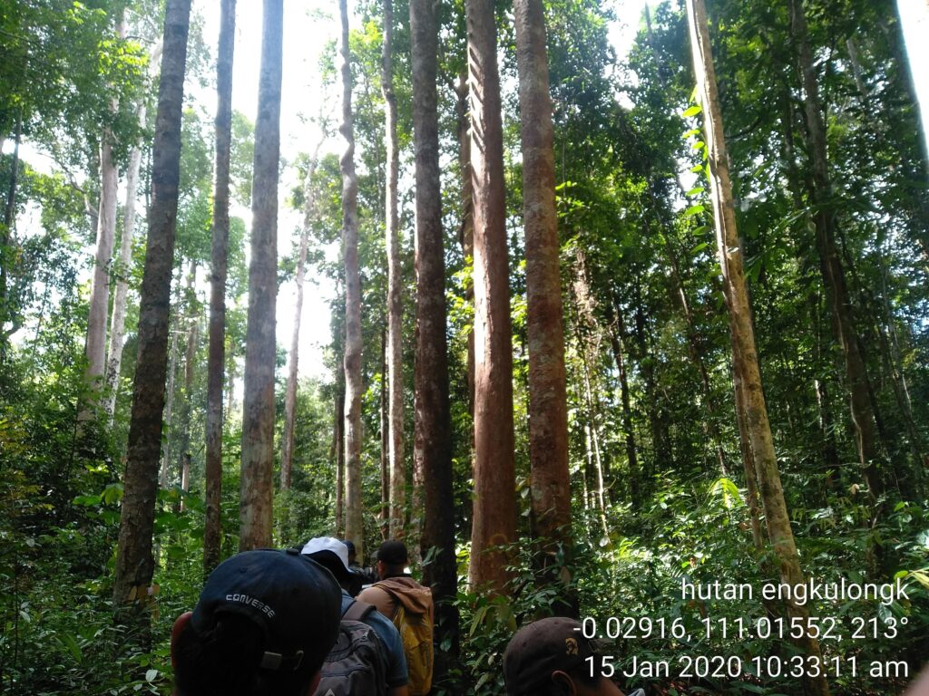 Rimba Engkulong: Evidence of 4F's Concern for the Sustainability of Forests and the Life Around Them.